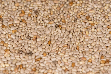 Close up of white chia seeds