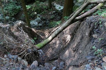 自然災害で崩壊した登山道
