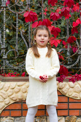 Little girl in a white knitted dress holding leaves in her hands and tossing up them. Bright red grape leaves in the autumn evening Park. Fall season. Vertical image.