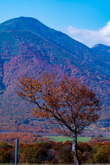 Obraz premium autumn in the mountains