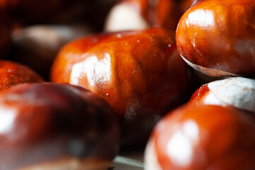 chestnuts on a wooden background