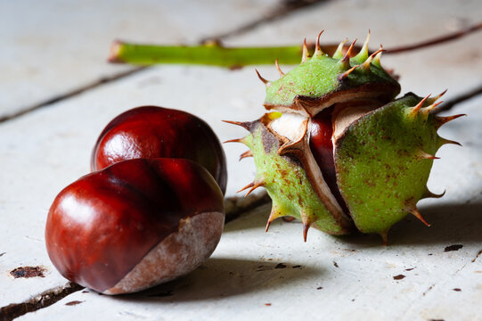 chestnuts on a wooden background