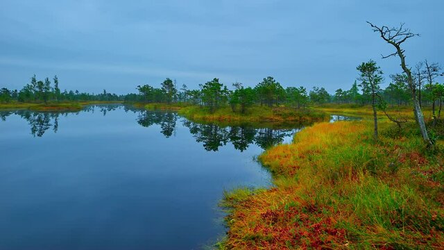 Beautiful morning in the swamp. Sulfur springs eerie place in Kemeri National Park, Latvia.
Dangerous bog land. Time lapse