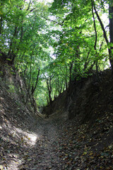 Gorge of Saint Queen Jadwiga in Sandomierz