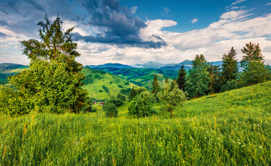 Fototapeta na wymiar Fresh green valley in Carpathian mountains. Dramatic summer scene of Stebnyi village, Transcarpathian region, Ukraine, Europe. Beauty of nature concept background..