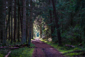 Fantastic hike in the Schrecksee nature reserve in Upper Swabia