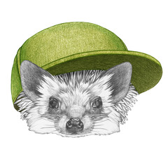 Portrait of Hedgehog with a cap. Hand-drawn illustration. 