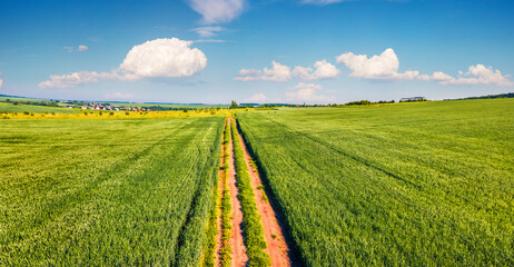 Fototapeta na wymiar View from flying drone of old country road among the field of wheat. Sunny summer scene of Ukrainian countryside. Beauty of nature concept background..