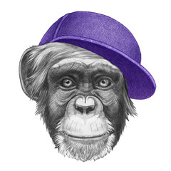 Portrait of Monkey with a cap. Hand-drawn illustration. 