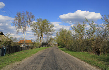 Fototapeta premium countryside road in village