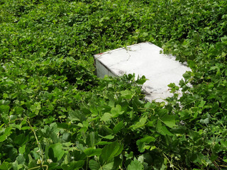 河川敷に捨てられた冷凍車の荷台