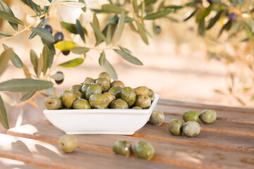 olives on table in an olive grove