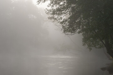 Magical morning with fog that swirls around the sea and trees. View of a beautiful nature landscape in autumn. Background with copy space and place for text. Photography taken in October.