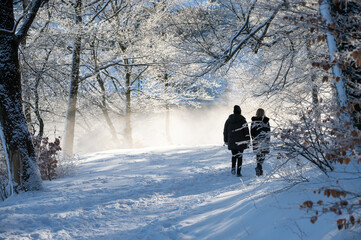 Photography of friends walking in a misty winter forest. Beautiful backlight snowy landscape, cold...