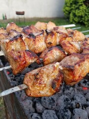 grilled meat on the grill