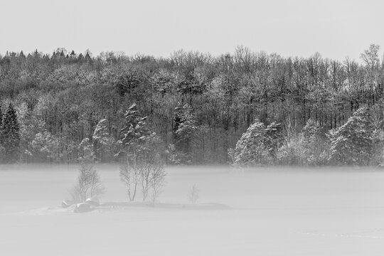 Black and white photography of a dreamy winter landscape. Frost and snow on the trees and the ice has frozen on the lake. Place for text and copy space. 