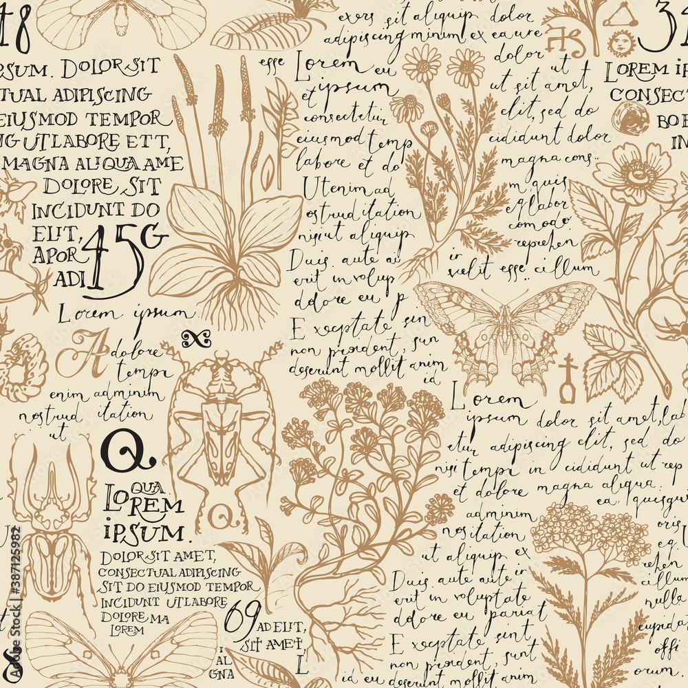 Wall mural seamless pattern with medicinal herbs, insects and handwritten text lorem ipsum. vector hand-drawn h