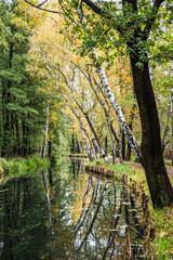 Water canal in the biosphere reserve Spree forest (Spreewald) in autum in the state of Brandenburg, Germany. Vertical stock photo.