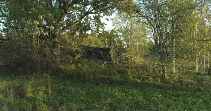 Abandoned old wooden cottage farm house under oak tree
