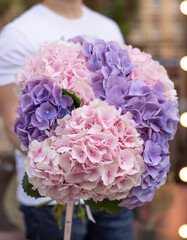 Young woman florist holding big beautiful blossoming mono bouquet of pink and purple hydrangea...