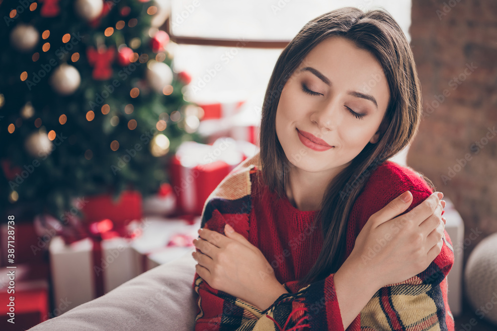 Poster photo of charming lady closed eyes wrapped checkered plaid hug herself wear red sweater in decorated