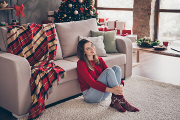 Obraz premium Photo of charming woman sit carpet couch look up embrace legs wear red pullover socks jeans in decorated x-mas living room indoors