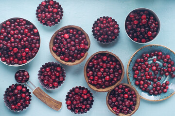 Ripe organic cranberry on light blue background