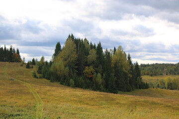 nature fields and trees of russia