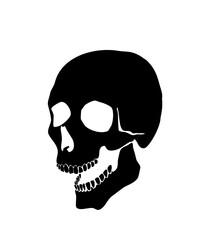 Stock vector illustration of black skull isolated on white background. Use for car or mobile stickers, t-shirt print, painting mask or halloween decoration. Hand drawn sketch of skull with opened jaw.