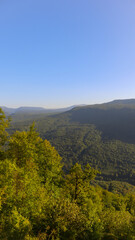 Naklejka premium beautiful autumn forest in the Caucasus mountains