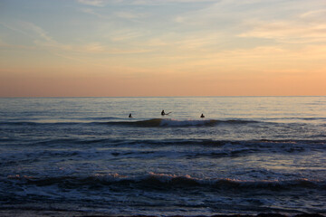 Surfing in corona times at Forte dei Marmi, Tuscany, Italy