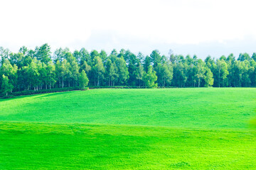美瑛の大パノラマ