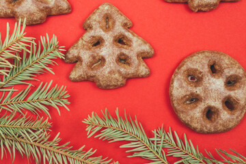 Ginger cookies and fir tree branch on a red background.