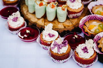 Sweet table. A plates of cakes and muffins. Table with sweets, buffet. Dessert table for a party goodies for the wedding. Candy bar. Decorated delicious.