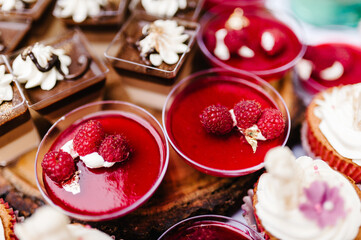 Dessert jelly in glass. Delicious Italian dessert Panna Cotta with jelly. Festive sweet table with baking.