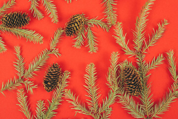Pine cones and fir tree branch on a red background.