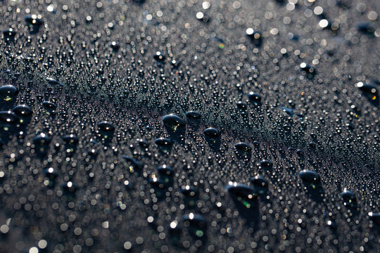 Closeup of water drops on car after rain