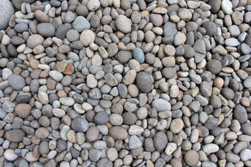 Pebbles, rocks, and stones as natural decoration in the garden.