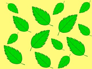 Green leaves of different sizes on a yellow background, close-up, top view.