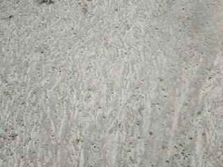 Traces of water on the ground