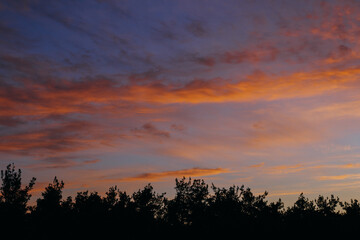 Obraz premium Breathtaking early sunrise over the forest with orange, goldlike and pink clouds.