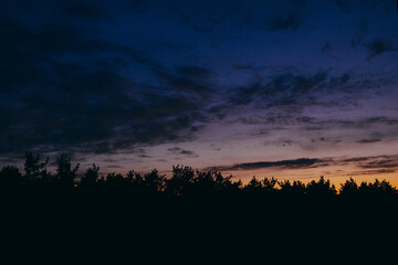 Early dawn over the forest.