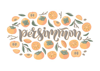 Vector illustration with persimmons. Colorful exotic fruit with branches, leaves, slices on white background. Hand-drawn calligraphy.