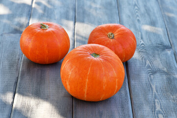 Three pumpkins lie on a wooden background. Autumn background. Halloween