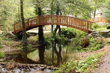 Fototapeta na wymiar Puente de madera, sobre el rio.