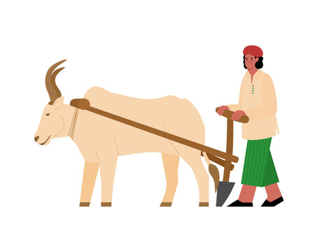 Indian farmer plows with plough with pulled ox. Seasonal preparation of field for sowing. Traditional agriculture or rural farm in India. Vector flat cartoon isolated illustration.