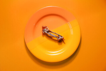 Chicken bones on a plate, top view. Gnawed bones, diet, weight loss concept. Bright orange...