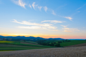 美瑛の夕暮れ
