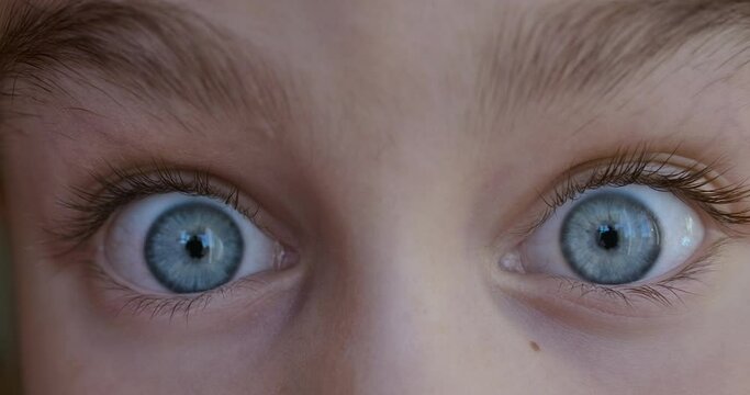 Child Girl Looks and Is Surprised Happy to Receive Surprise. Portrait Little Kid With Blue Eyes Looking at Camera Closeup. Surprised Girl Face. Close up of Shocked Child Face Expression. Wow Emotion.