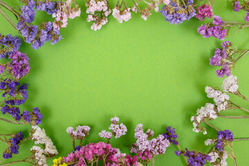 Fototapeta na wymiar Colorful statice flowers on the green background. Limonium sinuatum flowers. Beautiful colorful fresh statice flower bouquet. Frame made of flowers. Copy space. Top view.